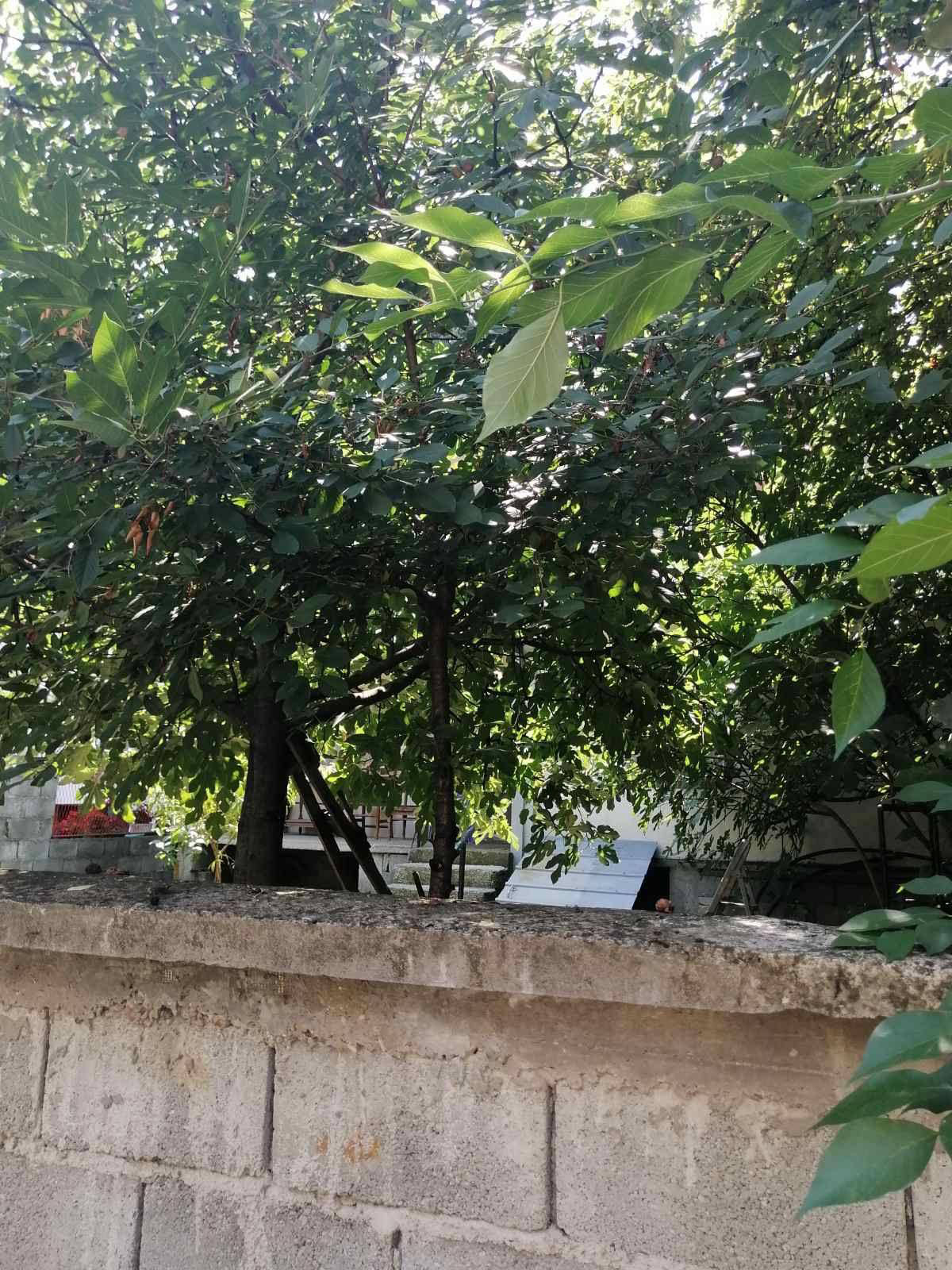 Квартира, 979 м², 129 521$ — FAKTOR